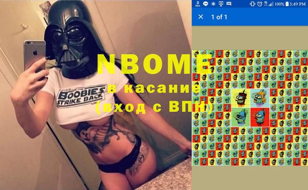 индика Балабаново