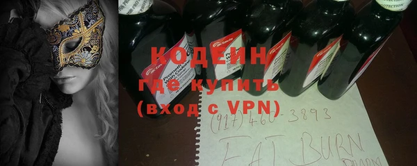 индика Балабаново