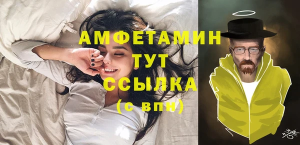 индика Балабаново