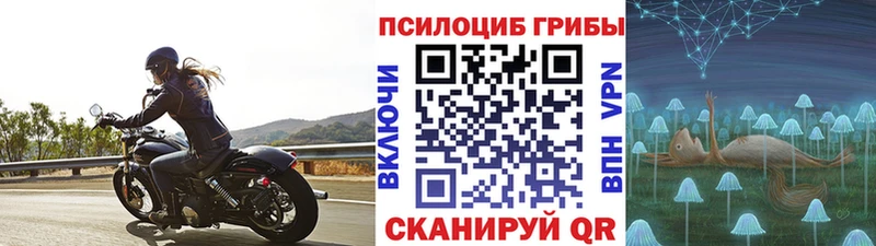 Купить  Нижняя Салда  Галлюциногенные грибы прущие грибы 